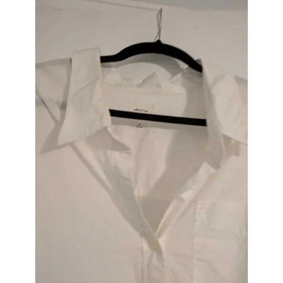 Wilfred Free Aritzia 100% Cotton Essential Oversized Oxford Shirt Button Down M - Picture 4 of 7